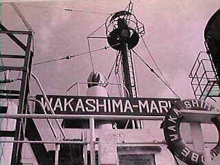 wakashima1.jpg